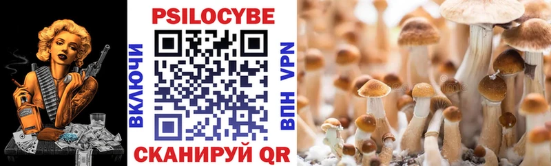 Псилоцибиновые грибы Psilocybine cubensis  Купить где  Рыбинск 